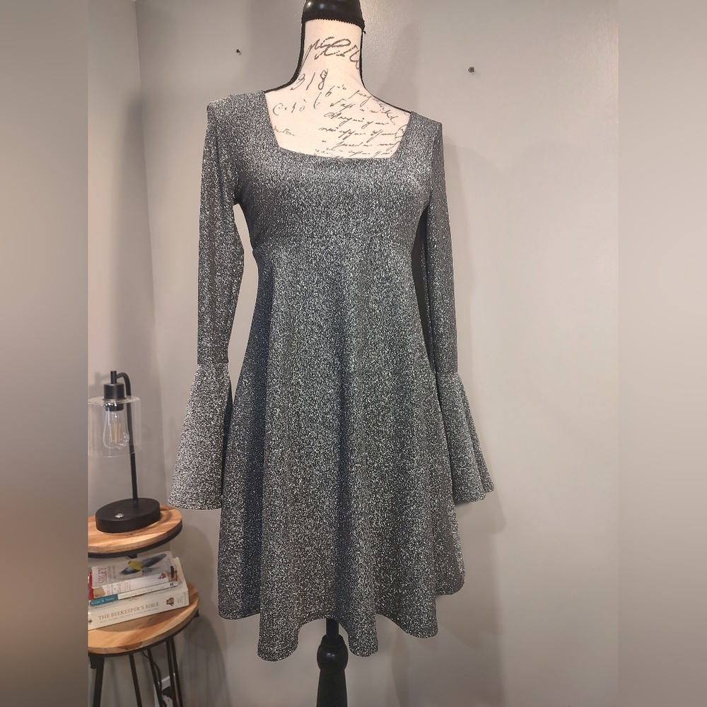 Alter'd State silver dress